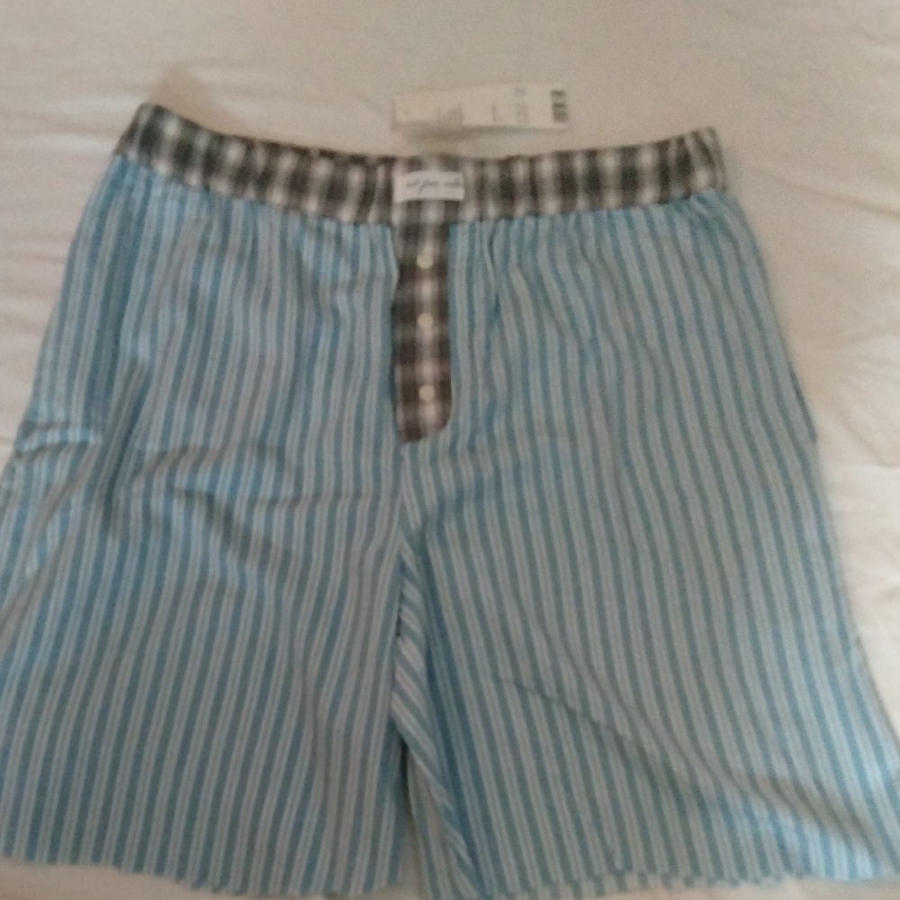 Urban Outfitters Blue and White Striped Boxers